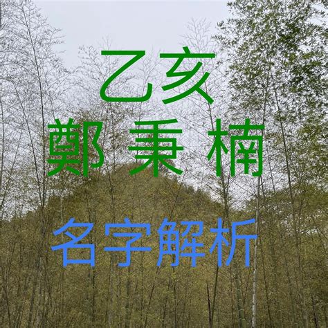 生肖姓名學 豬